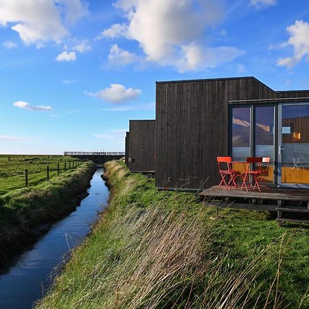 Tiny House Nature 9 Zur Kuhweide - Green Tiny Village Harlesiel Carolinensiel Exteriör bild